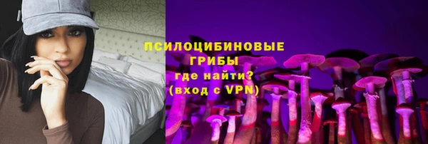 мдпв Карпинск