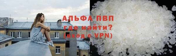 индика Козловка