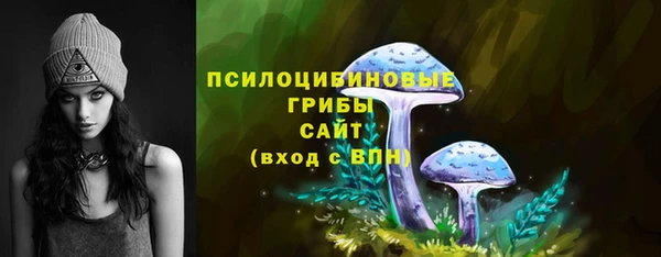 индика Козловка