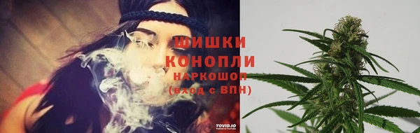 дмт Кодинск
