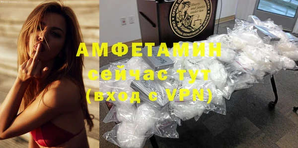 индика Козловка