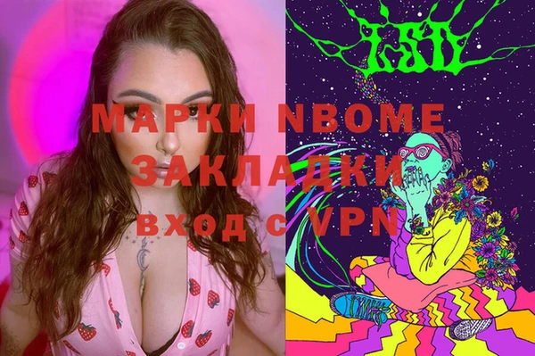 индика Козловка