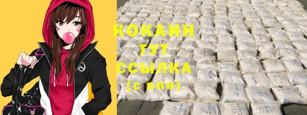 мдпв Карпинск