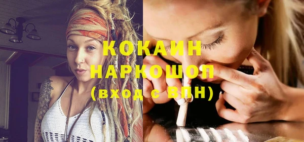 индика Козловка