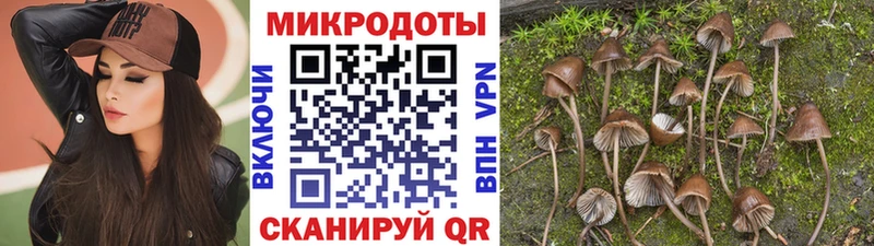 Галлюциногенные грибы GOLDEN TEACHER  Кировград 